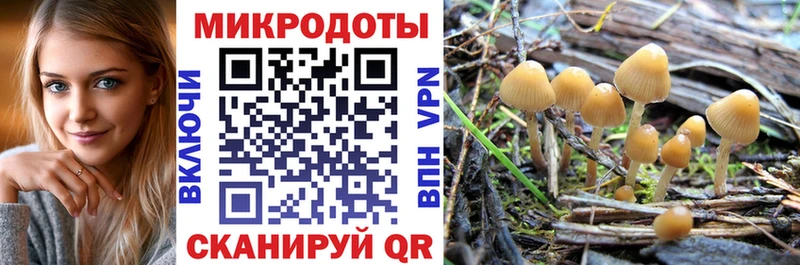 Галлюциногенные грибы Psilocybine cubensis  Купить закладки  Камышлов 
